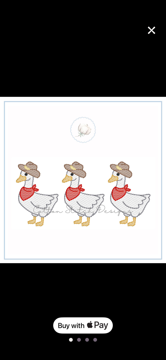 Cowboy Goose